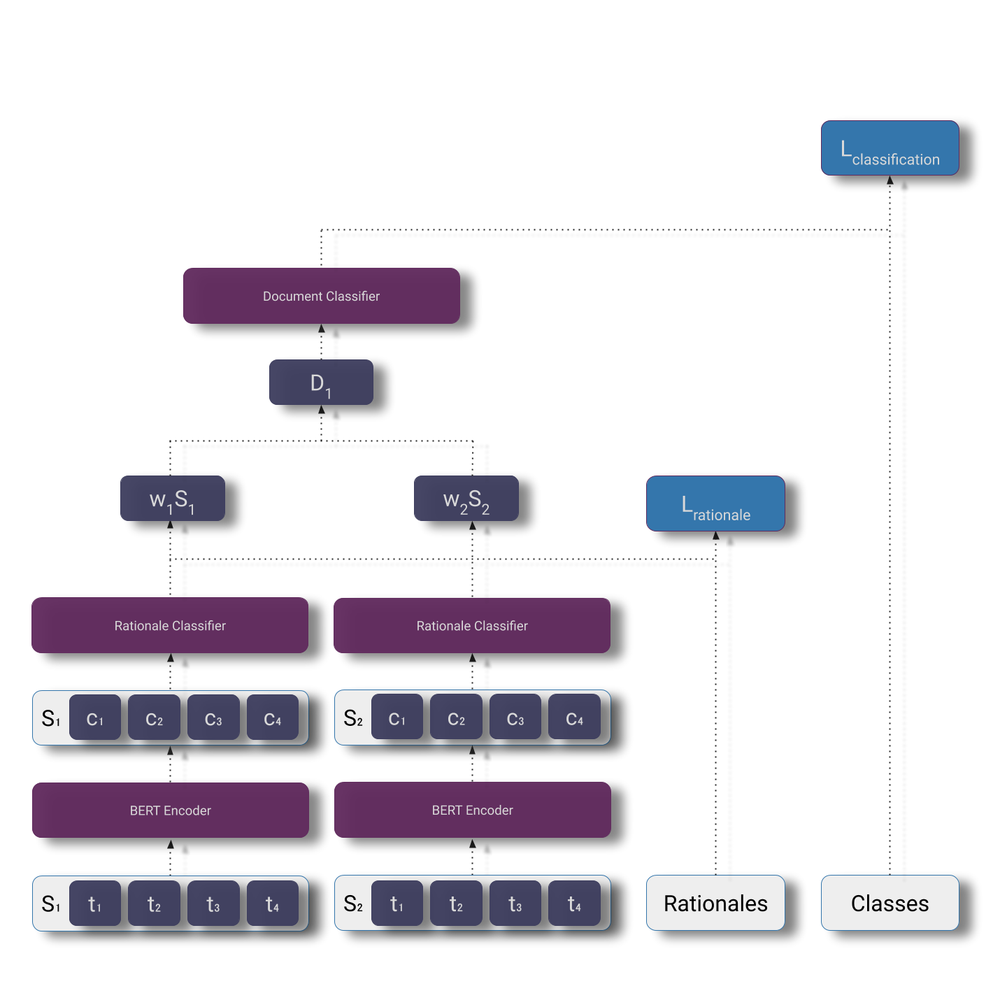 Rationale Informed Classification